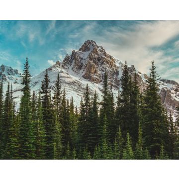 Lais Puzzle - Blick auf die kanadischen Rocky Mountains im Banff National Park in Alberta - 40, 100, 200, 500, 1.000 & 2.000 Teile