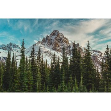 Lais Puzzle - Blick auf die kanadischen Rocky Mountains im Banff National Park in Alberta - 2.000 Teile
