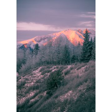 Lais Puzzle - Highway of Tears - Hudson Bay Mountain - Morgenglut - 1.000 Teile