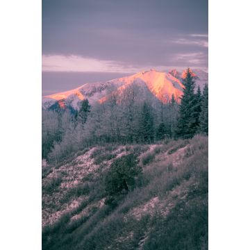 Lais Puzzle - Highway of Tears - Hudson Bay Mountain - Morgenglut - 2.000 Teile
