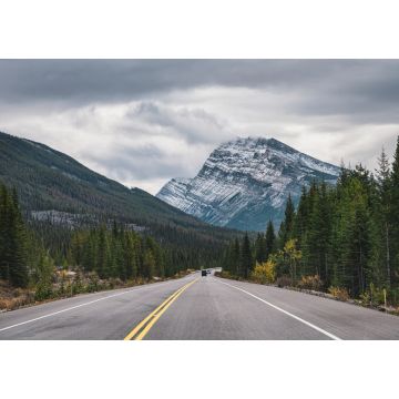 Lais Puzzle - Roadtrip mit Rocky Mountains im Herbstwald bei trübem Wetter im Banff National Park - 1.000 Teile