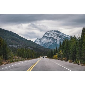 Lais Puzzle - Roadtrip mit Rocky Mountains im Herbstwald bei trübem Wetter im Banff National Park - 2.000 Teile