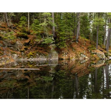 Lais Puzzle - Die Wildnis von Algonquin in Kanada - 40, 100, 200, 500, 1.000 & 2.000 Teile