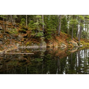 Lais Puzzle - Die Wildnis von Algonquin in Kanada - 2.000 Teile