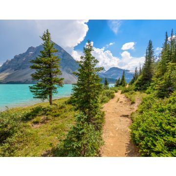 Lais Puzzle - Fragment eines Bergseewegs in Alberta, Kanada, Rocky Mountains - 40, 100, 200, 500, 1.000 & 2.000 Teile