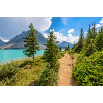 Lais Puzzle - Fragment eines Bergseewegs in Alberta, Kanada, Rocky Mountains - 2.000 Teile