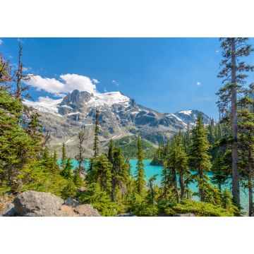 Lais Puzzle - Majestätischer Bergsee in Kanada. Upper Joffre Lake Trail Ansicht - 1.000 Teile