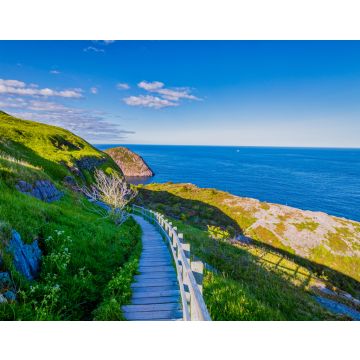 Lais Puzzle - Signal Hill Walkway in St. John Neufundland, Kanada mit blauem Himmel im Hintergrund im Sommer - 40, 100, 200, 500, 1.000 & 2.000 Teile