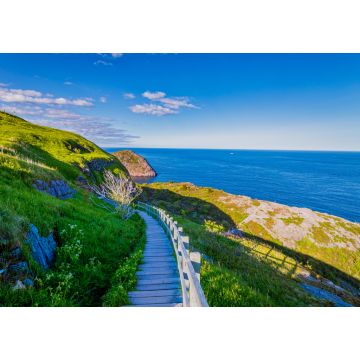 Lais Puzzle - Signal Hill Walkway in St. John Neufundland, Kanada mit blauem Himmel im Hintergrund im Sommer - 1.000 Teile