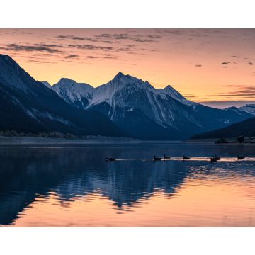 Lais Puzzle - Kanadische Rockies mit farbenfrohem Himmel und einem Schwarm Krickenten auf dem Medicine Lake im Jasper National Park - 40, 100, 200, 500, 1.000 & 2.000 Teile