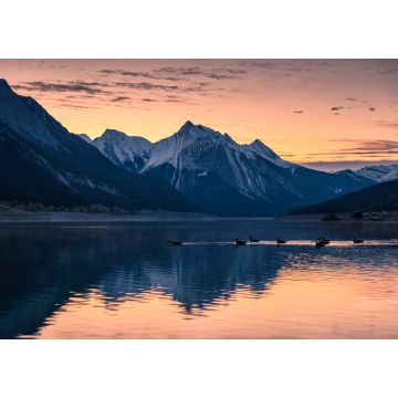Lais Puzzle - Kanadische Rockies mit farbenfrohem Himmel und einem Schwarm Krickenten auf dem Medicine Lake im Jasper National Park - 1.000 Teile