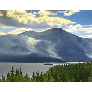 Lais Puzzle - Tagish Lake, Yukon Territorium, Kanada - 40, 100, 200, 500, 1.000 & 2.000 Teile