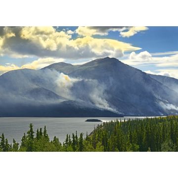 Lais Puzzle - Tagish Lake, Yukon Territorium, Kanada - 1.000 Teile