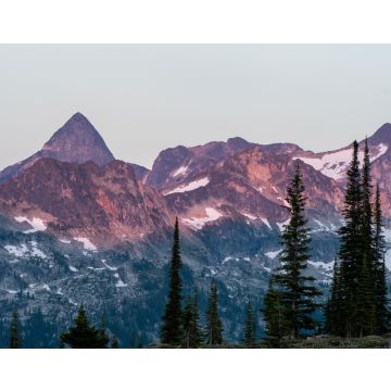Lais Puzzle - Bergkette bei Sonnenuntergang, felsige Berge, Valhalla Provincial Park, West Kootenays, BC, Kanada. Rosa und rote Untertöne, dramatisch - 40, 100, 200, 500, 1.000 & 2.000 Teile