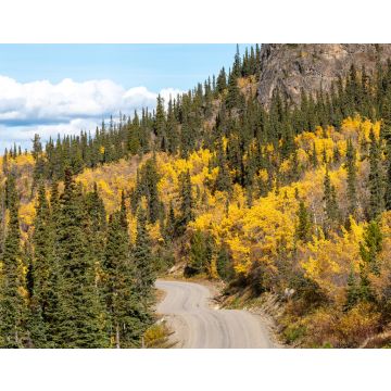 Lais Puzzle - Erstaunlicher Blick auf den Highway nach Atlin, nördliches British Columbia, mit Herbstszenen und gelben Herbstfarben - 40, 100, 200, 500, 1.000 & 2.000 Teile