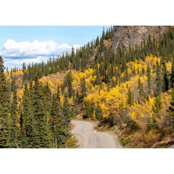 Lais Puzzle - Erstaunlicher Blick auf den Highway nach Atlin, nördliches British Columbia, mit Herbstszenen und gelben Herbstfarben - 1.000 Teile