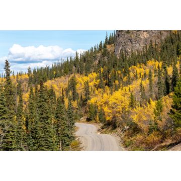 Lais Puzzle - Erstaunlicher Blick auf den Highway nach Atlin, nördliches British Columbia, mit Herbstszenen und gelben Herbstfarben - 2.000 Teile