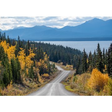 Lais Puzzle - Erstaunlicher Blick auf den Highway nach Atlin, nördliches British Columbia, mit Herbstszenen und gelben Herbstfarben. Aufgenommen in der Nähe der Grenze zum Yukon Territory in Kanada - 100, 200, 500, 1.000 & 2.000 Teile