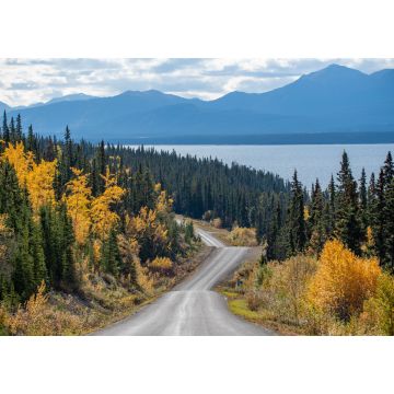 Lais Puzzle - Erstaunlicher Blick auf den Highway nach Atlin, nördliches British Columbia, mit Herbstszenen und gelben Herbstfarben. Aufgenommen in der Nähe der Grenze zum Yukon Territory in Kanada - 1.000 Teile
