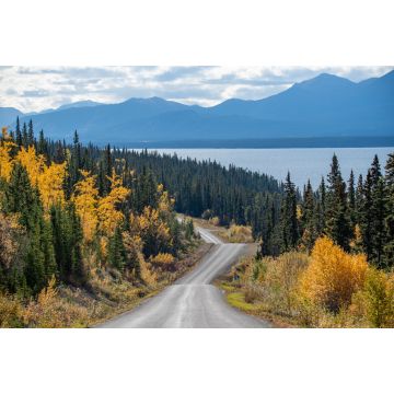 Lais Puzzle - Erstaunlicher Blick auf den Highway nach Atlin, nördliches British Columbia, mit Herbstszenen und gelben Herbstfarben. Aufgenommen in der Nähe der Grenze zum Yukon Territory in Kanada - 2.000 Teile