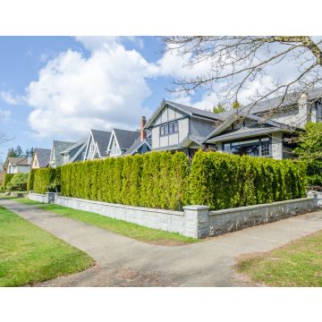 Lais Puzzle - Grüner Zaun aus Bäumen gebaut. Landschaft im Freien. Sicherheit und Privatsphäre Konzept. Vancouver. Kanada - 40, 100, 200, 500, 1.000 & 2.000 Teile
