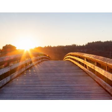 Lais Puzzle - Brücke, die über einen Fluss in einem Stadtpark führt. Sonniger Sommer-Sonnenuntergang. Colony Farm Regional Park, Port Coquitlam, Vancouver, British Columbia, Kanada - 40, 100, 200, 500, 1.000 & 2.000 Teile
