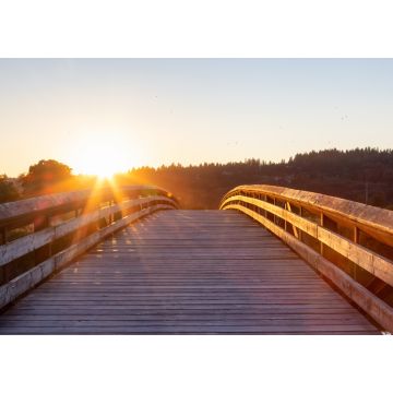 Lais Puzzle - Brücke, die über einen Fluss in einem Stadtpark führt. Sonniger Sommer-Sonnenuntergang. Colony Farm Regional Park, Port Coquitlam, Vancouver, British Columbia, Kanada - 1.000 Teile