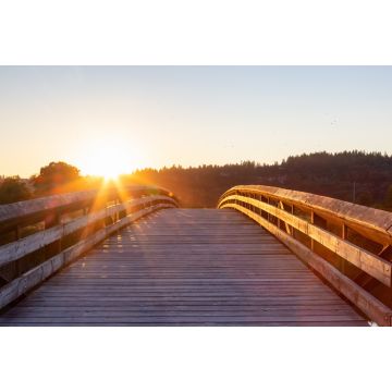 Lais Puzzle - Brücke, die über einen Fluss in einem Stadtpark führt. Sonniger Sommer-Sonnenuntergang. Colony Farm Regional Park, Port Coquitlam, Vancouver, British Columbia, Kanada - 2.000 Teile