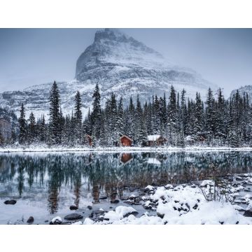 Lais Puzzle - Lake O'hara mit Holzhütte und schneebedecktem Kiefernwald an einem düsteren Tag im Yoho-Nationalpark - 40, 100, 200, 500, 1.000 & 2.000 Teile