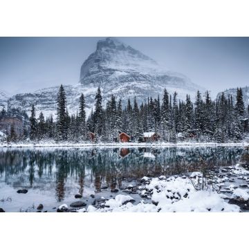 Lais Puzzle - Lake O'hara mit Holzhütte und schneebedecktem Kiefernwald an einem düsteren Tag im Yoho-Nationalpark - 1.000 Teile