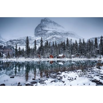 Lais Puzzle - Lake O'hara mit Holzhütte und schneebedecktem Kiefernwald an einem düsteren Tag im Yoho-Nationalpark - 2.000 Teile