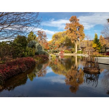 Lais Puzzle - Ikeda Japanese Garden im Herbst in Penticton, BC - 40, 100, 200, 500, 1.000 & 2.000 Teile