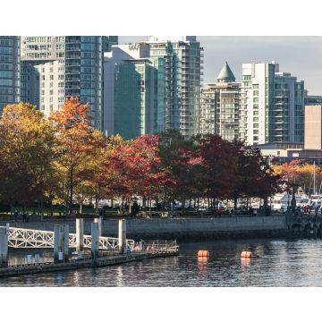 Lais Puzzle - Herbstlicher Park in der Innenstadt von Vancouver, British Columbia, Kanada. Herbstliches Stadtbild in Vancouver - 40, 100, 200, 500, 1.000 & 2.000 Teile