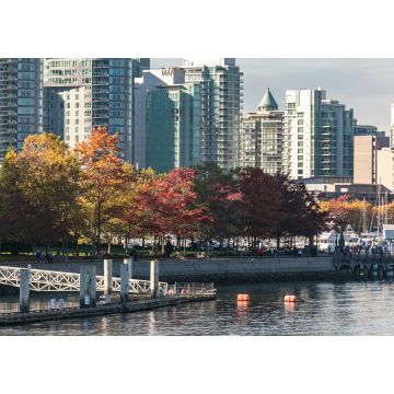 Lais Puzzle - Herbstlicher Park in der Innenstadt von Vancouver, British Columbia, Kanada. Herbstliches Stadtbild in Vancouver - 1.000 Teile