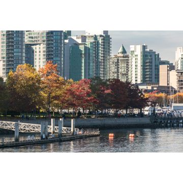 Lais Puzzle - Herbstlicher Park in der Innenstadt von Vancouver, British Columbia, Kanada. Herbstliches Stadtbild in Vancouver - 2.000 Teile
