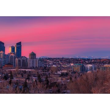 Lais Puzzle - Rosa Sonnenaufgang über der Innenstadt von Calgary - 1.000 Teile