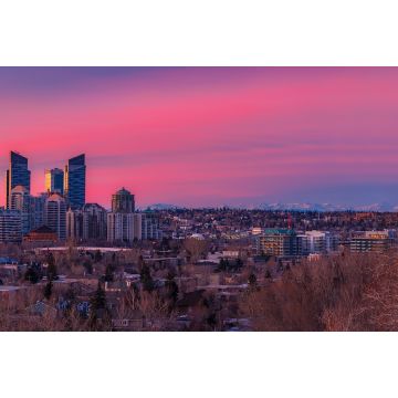 Lais Puzzle - Rosa Sonnenaufgang über der Innenstadt von Calgary - 2.000 Teile