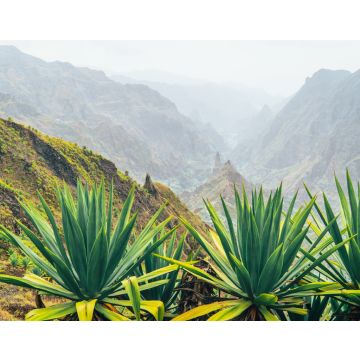 Lais Puzzle - Insel Santo Antao auf Cabo Verde. Vulkanlandschaft mit Bergkanten über dem Tal, bewachsen mit Agavenpflanzen - 40, 100, 200, 500, 1.000 & 2.000 Teile