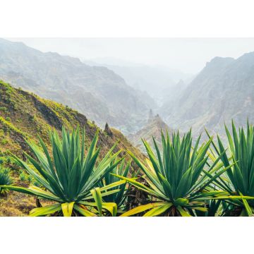 Lais Puzzle - Insel Santo Antao auf Cabo Verde. Vulkanlandschaft mit Bergkanten über dem Tal, bewachsen mit Agavenpflanzen - 1.000 Teile