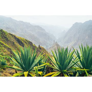 Lais Puzzle - Insel Santo Antao auf Cabo Verde. Vulkanlandschaft mit Bergkanten über dem Tal, bewachsen mit Agavenpflanzen - 2.000 Teile