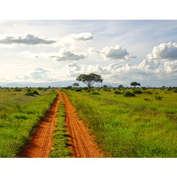 Lais Puzzle - Giraffen im Nationalpark Tsavo Ost, Tsavo West und Amboseli in Kenia - 40, 100, 200, 500, 1.000 & 2.000 Teile