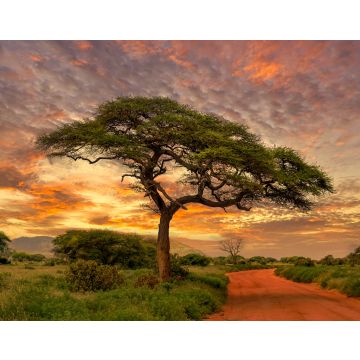 Lais Puzzle - Sonnenuntergang und Sonnenaufgang in dem Nationalpark Tsavo Ost, Tsavo West und Amboseli, Kenia - 40, 100, 200, 500, 1.000 & 2.000 Teile