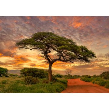 Lais Puzzle - Sonnenuntergang und Sonnenaufgang in dem Nationalpark Tsavo Ost, Tsavo West und Amboseli, Kenia - 1.000 Teile