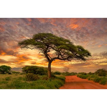 Lais Puzzle - Sonnenuntergang und Sonnenaufgang in dem Nationalpark Tsavo Ost, Tsavo West und Amboseli, Kenia - 2.000 Teile