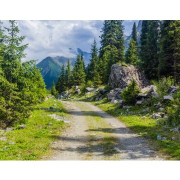 Lais Puzzle - Pfad im Karakol-Flusstal in Kirgisistan - 40, 100, 200, 500, 1.000 & 2.000 Teile