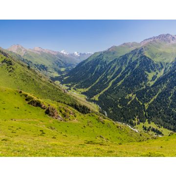 Lais Puzzle - Ak Su-Tal bei Karakol, Kirgisistan - 40, 100, 200, 500, 1.000 & 2.000 Teile