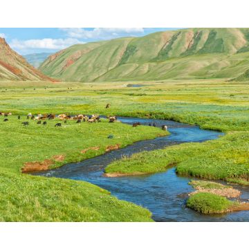 Lais Puzzle - Schafherde auf der Weide entlang eines Bergflusses, Naryn-Schlucht, Region Naryn, Kirgisistan - 40, 100, 200, 500, 1.000 & 2.000 Teile