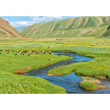 Lais Puzzle - Schafherde auf der Weide entlang eines Bergflusses, Naryn-Schlucht, Region Naryn, Kirgisistan - 1.000 Teile