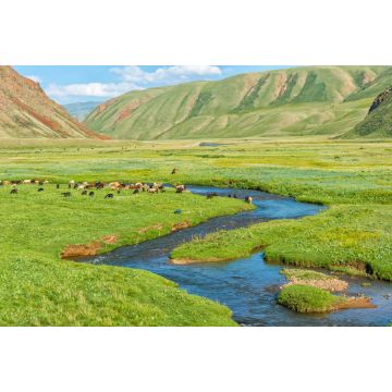 Lais Puzzle - Schafherde auf der Weide entlang eines Bergflusses, Naryn-Schlucht, Region Naryn, Kirgisistan - 2.000 Teile