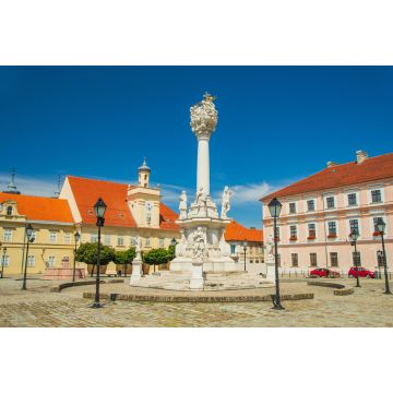Lais Puzzle - Platz der Heiligen Dreifaltigkeit, Säulen mit Statuen in Tvrdja, alte historische Stadt Osijek, Kroatien - 2.000 Teile